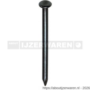 HJZ nagel 2.0x20 mm bolverzonken kop blauw 10 kg - W40870325 - afbeelding 1