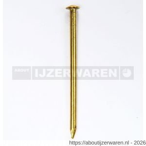 HJZ Profi nagel 1.5x20 mm bombe kop messing - W40870021 - afbeelding 1