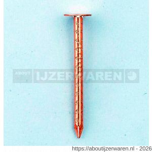 HJZ asfaltnagel gekartelde schacht 2.8x25 mm plattekop roodkoper 1 kg - W40870006 - afbeelding 1