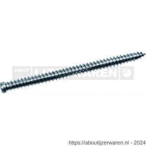 QZ 853 kozijnschroef cilinderkop 7.5x182 mm Torx TX 25 staal gehard verzinkt - W50002099 - afbeelding 1