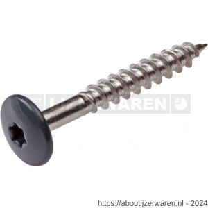 GebuVolco 356 HPL-plaatschroef 4.8x25 mm Torx TX 20 RVS A2 antraciet RAL 7016 - W50001936 - afbeelding 1