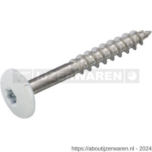 GebuVolco 356 HPL-plaatschroef 4.8x38 mm Torx TX 20 RVS A2 crème RAL 9001 - W50001946 - afbeelding 1