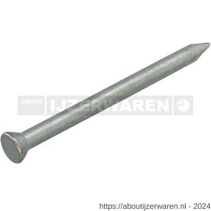 Hoenderdaal betonnagel mechanisch staal verzinkt VZ platkop PK 3.0x50 mm 250 stuks - W51402349 - afbeelding 1