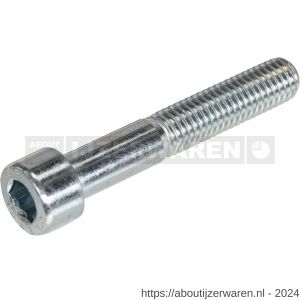 Hoenderdaal binnenzeskantbout staal verzinkt VZ 8.8 cilinderkop CK IB 3 DIN 912 M4x35 mm 200 stuks - W51403826 - afbeelding 1