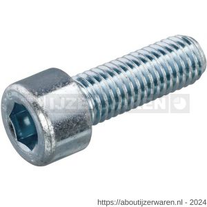 Hoenderdaal binnenzeskantbout staal verzinkt VZ 8.8 cilinderkop CK IB 6 DIN 912 M8x12 mm 200 stuks - W51403858 - afbeelding 1