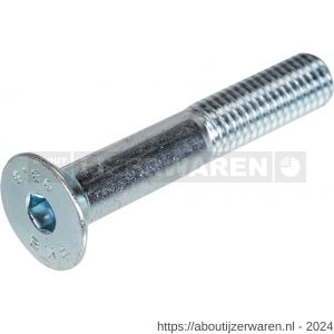 Hoenderdaal binnenzeskantbout staal verzinkt VZ 8.8 platkop PK IB 6 DIN 7991 M10x35 mm 100 stuks - W51404451 - afbeelding 1