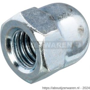 Hoenderdaal dopmoer staal verzinkt VZ SW 5.5 DIN 1587 M3 200 stuks - W51401797 - afbeelding 1