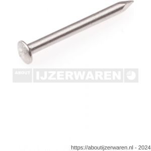 Hoenderdaal draadnagel RVS A2 bombekop BB 1.6x20 mm 1 kg - W51402071 - afbeelding 1