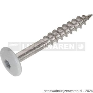 Hoenderdaal HPL schroef RVS A2 Torx TX 20 agaatgrijs RAL 7038 4.8x38 mm 100 stuks - W51403448 - afbeelding 1