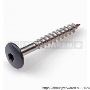 Hoenderdaal HPL schroef RVS A2 Torx TX 20 antracietgrijs RAL 7016 4.8x32 mm 100 stuks - W51403450 - afbeelding 1