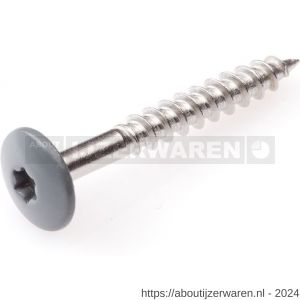 Hoenderdaal HPL schroef RVS A2 Torx TX 20 bazaltgrijs RAL 7012 4.8x38 mm 100 stuks - W51403469 - afbeelding 1