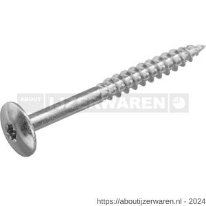 Hoenderdaal HPL schroef RVS A2 Torx TX 20 staal blank 4.8x50 mm 100 stuks - W51403455 - afbeelding 1