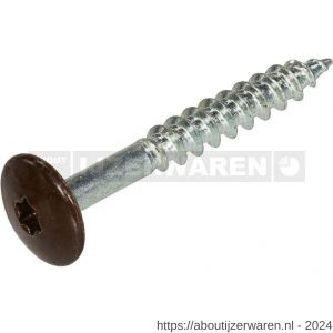 Hoenderdaal HPL schroef RVS A2 Torx TX 20 chocoladebruin RAL 8017 4.8x25 mm 100 stuks - W51403460 - afbeelding 1