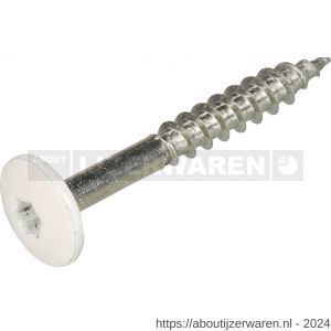 Hoenderdaal HPL schroef RVS A2 Torx TX 20 cremewit RAL 9001 4.8x50 mm 100 stuks - W51403454 - afbeelding 1