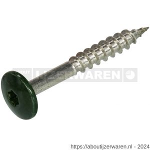 Hoenderdaal HPL schroef RVS A2 Torx TX 20 dennengroen RAL 6009 4.8x38 mm 100 stuks - W51403472 - afbeelding 1