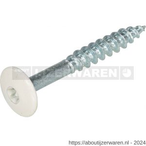 Hoenderdaal HPL schroef RVS A2 Torx TX 20 parelwit RAL 1013 4.8x25 mm 100 stuks - W51403452 - afbeelding 1