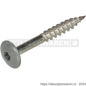 Hoenderdaal HPL schroef RVS A2 Torx TX 20 stofgrijs RAL 7037 4.8x25 mm 100 stuks - W51403475 - afbeelding 1