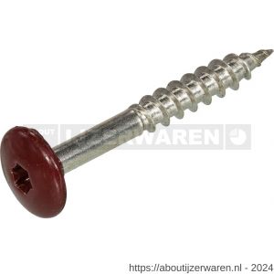 Hoenderdaal HPL schroef RVS A2 Torx TX 20 wijnrood RAL 3005 4.8x38 mm 100 stuks - W51403478 - afbeelding 1