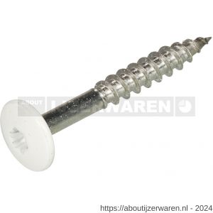 Homefix kleurkopschroef RVS A2 Torx TX 20 wit RAL 9010 4.8x38 mm blister 8 stuks - W51403495 - afbeelding 1