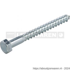 Homefix houtdraadbout zeskant staal verzinkt VZ 4.6 SW 10 DIN 571 6x40 mm kuip 50 stuks - W51400246 - afbeelding 1