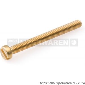 Hoenderdaal metaalschroef messing blank cilinderkop CK zaagsnede DIN 84 M3x20 mm 200 stuks - W51403561 - afbeelding 1