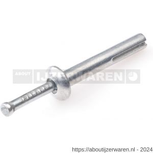 Rawl metalen nagel plug zamak 6x30 mm 100 stuks - W51402442 - afbeelding 1