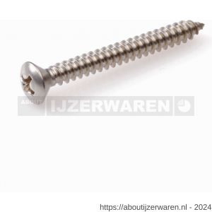 Hoenderdaal plaatschroef RVS A2 lenskop LK Phillips PH 1 DIN 7983C zelftappend 2.2x9.5 mm 200 stuks - W51404860 - afbeelding 1