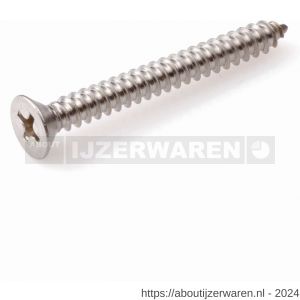 Hoenderdaal plaatschroef RVS A2 platkop PK Phillips PH 2 DIN 7982C zelftappend 3.5x13 mm 200 stuks - W51404749 - afbeelding 1