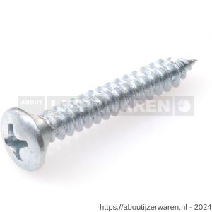 Hoenderdaal plaatschroef staal verzinkt VZ lenskop LK Phillips PH 1 DIN 7983C zelftappend 2.2x6.5 mm 200 stuks - W51404916 - afbeelding 1