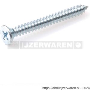 Hoenderdaal plaatschroef staal verzinkt VZ platkop PK Phillips PH 3 DIN 7982C zelftappend 5.5x50 mm 200 stuks - W51404848 - afbeelding 1