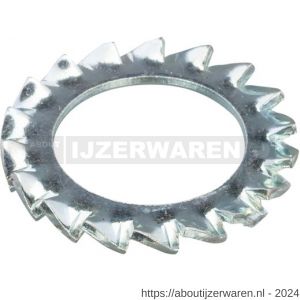 Hoenderdaal tandveerring staal verzinkt VZ DIN 6798A M12 13.0x20.5x1.0 mm 100 stuks - W51402930 - afbeelding 1