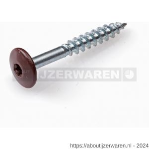 Dak en Gevel kleurkopschroef RVS A2 bruin RAL 8017 4.8x38 mm kuip 50 stuks - W51403433 - afbeelding 1