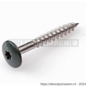 Dak en Gevel kleurkopschroef RVS A2 groen RAL 6009 4.8x38 mm kuip 50 stuks - W51403435 - afbeelding 1