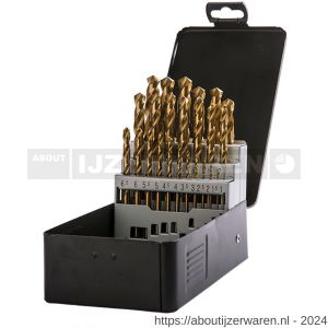 Labor KA016750 metaalborenkoffer DIN 338 HSS-G geslepen TiN gecoat 170-delig 1-10 mm x 0.5 mm doos - W50303261 - afbeelding 1