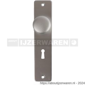 Ami KNOP BB F1 knopschild schild type 180/41 RH met knop 160/40 voor bonte baard SL 56 F1 finish - W30204615 - afbeelding 1