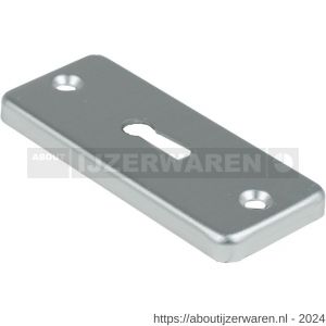 Ami RZ SLG AF afdekrozet SLG recht type 4 RH 1 stuk F1 finish - W30204635 - afbeelding 1