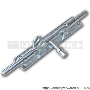 IBFM HSG 250V hangslotgrendel verticaal diameter 12 mm 250 mm verzinkt - W30204927 - afbeelding 1