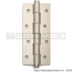 Justor DVE 180/30 SE deurveerscharnier enkel 180/30 mm aluminium zilvergrijs - W30204848 - afbeelding 1