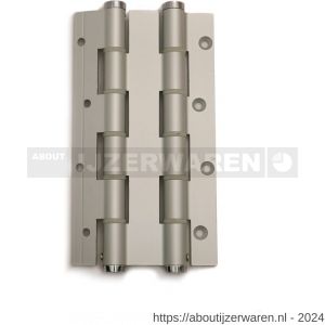 Justor DVD 180/40 SE deurveerscharnier dubbelwerkend 180/40 mm aluminium zilvergrijs - W30204858 - afbeelding 1