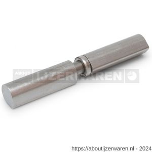 IBFM HPL WK SS 150 aanlaspaumelle RVS pen en RVS kogellager ring platte kop 150x22 mm RVS AISI 304 - W30203671 - afbeelding 1