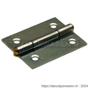 Dulimex DX H161-25222105 smalscharnier 25x22 mm vaste messing pen staal verzinkt - W30201691 - afbeelding 1