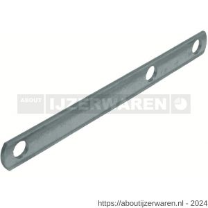 GB 073500 vloerbetonanker 250 mm 30x2 mm sendzimir verzinkt - W18000010 - afbeelding 1