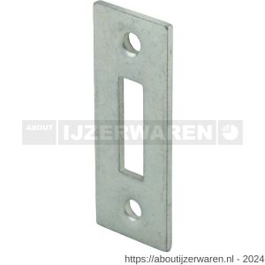 GB 7449910 plaatje 20x50 mm 2 mm elektrolytisch verzinkt - W18002530 - afbeelding 1