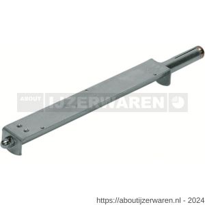 GB 82450 plankdrager met keilbout 250x30 mm elektrolytisch verzinkt - W18000586 - afbeelding 1