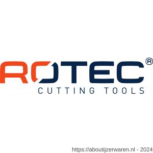 Rotec 808 krachtbit Basic Torx T 10x50 mm E6.3 set 2 stuks - W50911511 - afbeelding 1