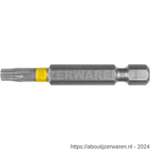 Rotec 828 krachtbit Opti-Line E6.3 Torx T 25x50 mm set 10 stuks - W50910943 - afbeelding 1