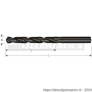 Rotec 100 HSS-R spiraalboor DIN 338 type N diameter 2,4x30x53 mm set 2 stuks - W50912597 - afbeelding 2