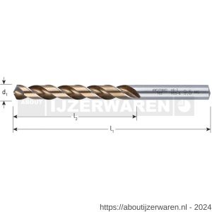 Rotec 102E HSS-G spiraalboor DIN 338 type HD-S diameter 9,2x81x125 mm - W50912110 - afbeelding 2