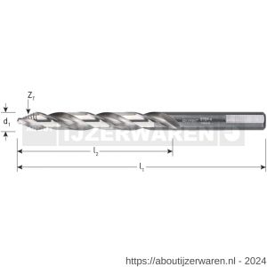 Rotec 104 HSS-G spiraalboor DIN 338 type Step-X diameter 2,5x30x57 mm - W50912363 - afbeelding 2