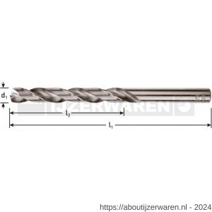 Rotec 105 HSS-G spiraalboor DIN 338 type N blank diameter 12,5x101x151 mm set 5 stuks - W50900678 - afbeelding 2